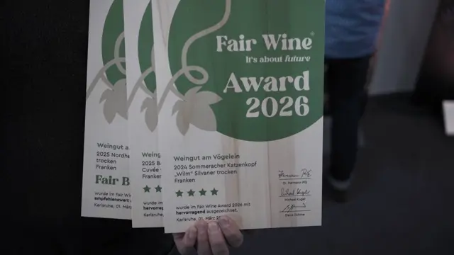 Am Vögelein_fullhd.mp4
